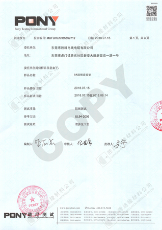 勝牌PA 阻燃測(cè)試報(bào)告